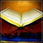 الصفحة الرئيسية